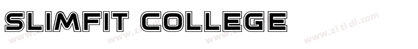 Slimfit College字体转换